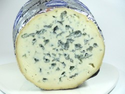 Fourme d'Ambert Cheese