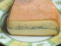 Morbier Cheese