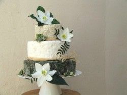 Cheese Wedding Cake or Tower to feed 65-95 (Mixed Cake G)  