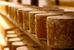 Baby Stilton Cheese First Grade - Colston Bassett