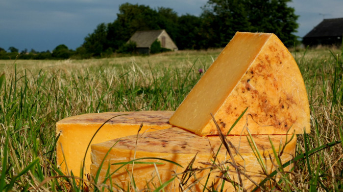 Britain excels with its firm farmhouse cheeses ...