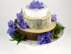 Cheese Wedding Cake or Tower to feed 25-35 (Cake L) 
